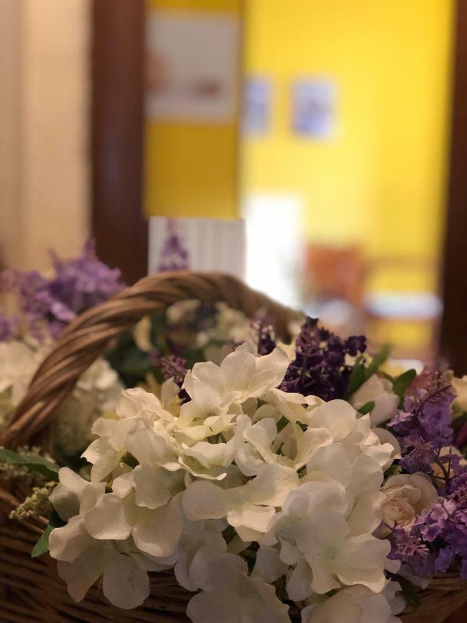 Le Casette Di Civitella La Casa Di Nonna Giulia Civitella Del Lago 외부 사진